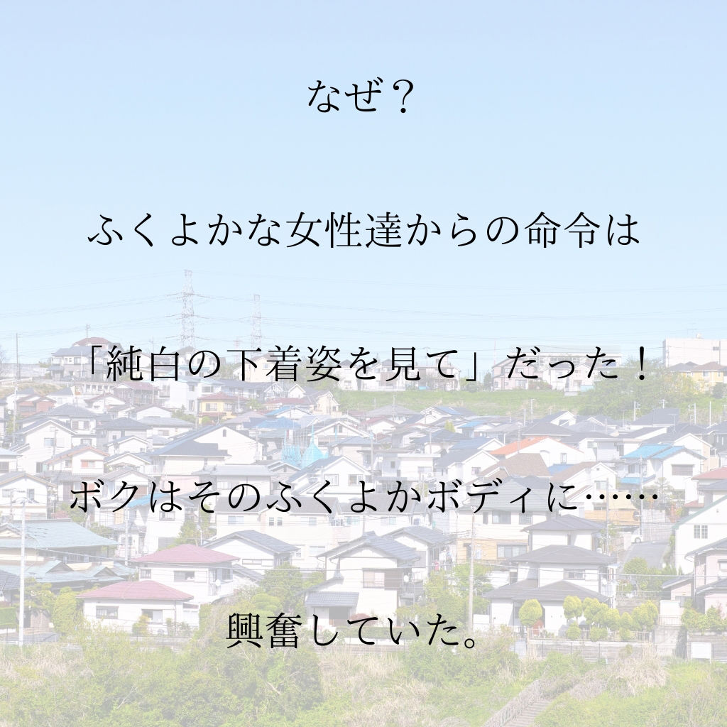 じゅんぱく下着命令3