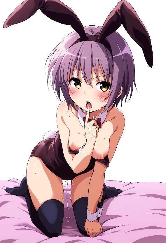 涼〇ハルヒの憂鬱 長〇有希 コスプレコレクション