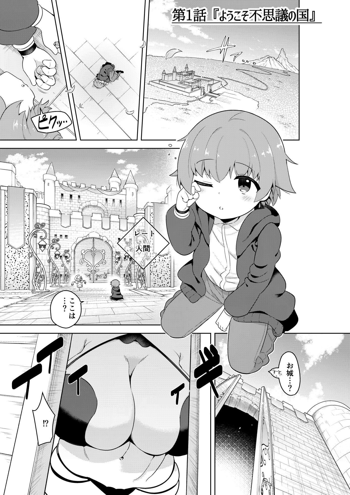 不思議の国のサキュバス コミカライズ!第1巻