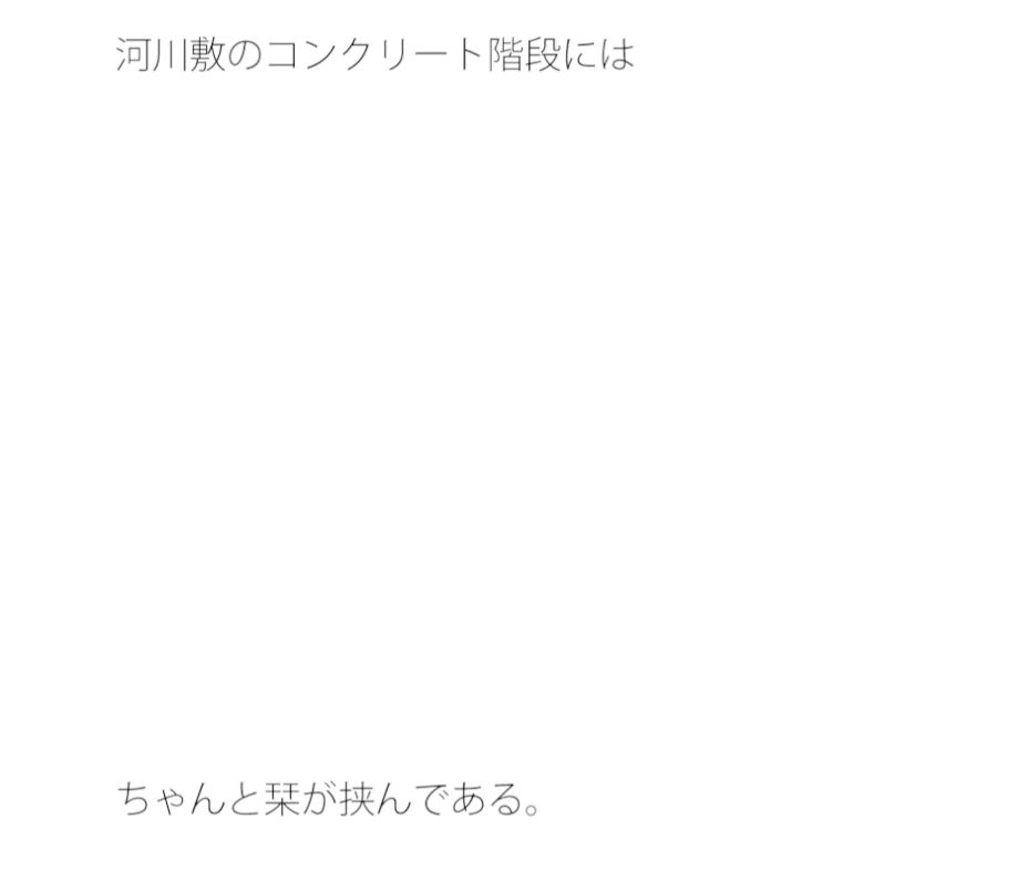 【無料】四人でつくる星の空の四角形