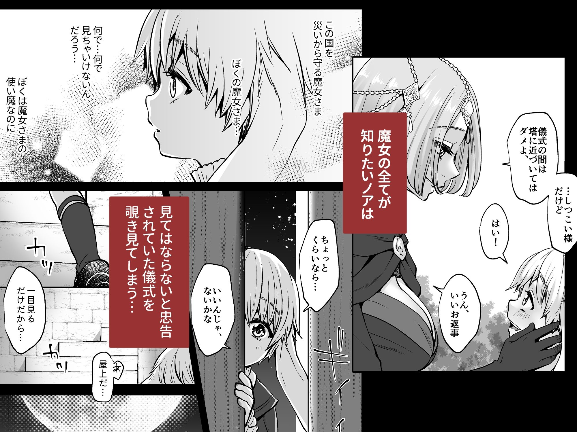 使い魔は魔女の秘密を暴きたい