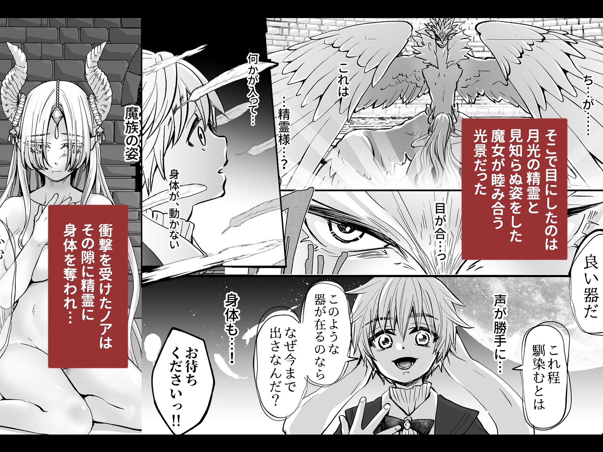 使い魔は魔女の秘密を暴きたい
