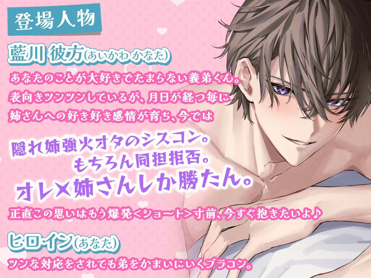 【KU100】姉さん好き好き好きすきSUKI!!!!〜義姉溺愛弟の暴走〜 豹変×連続絶頂×快楽堕ち