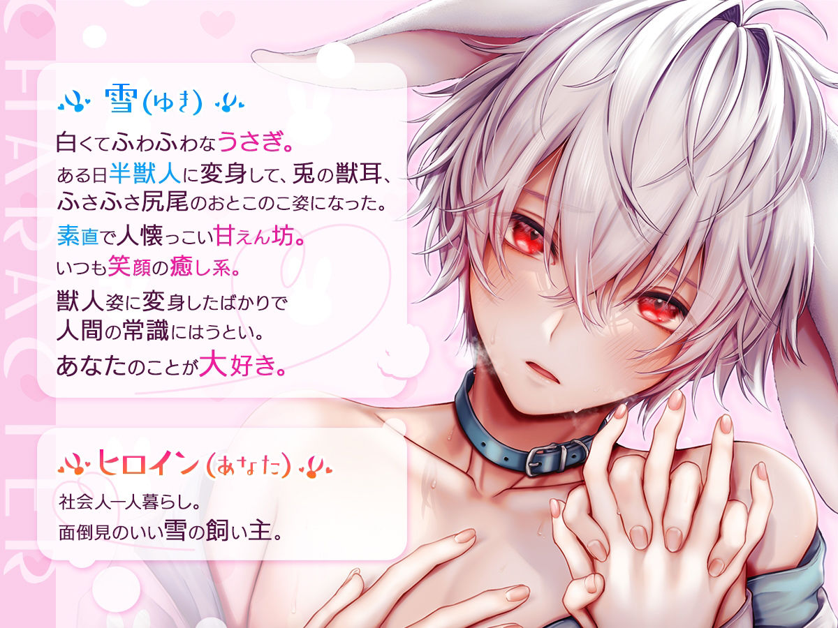 【KU100】獣人変化！愛うさぎ〜純粋溺愛 雪くんといっしょに赤ちゃんつくろ〜