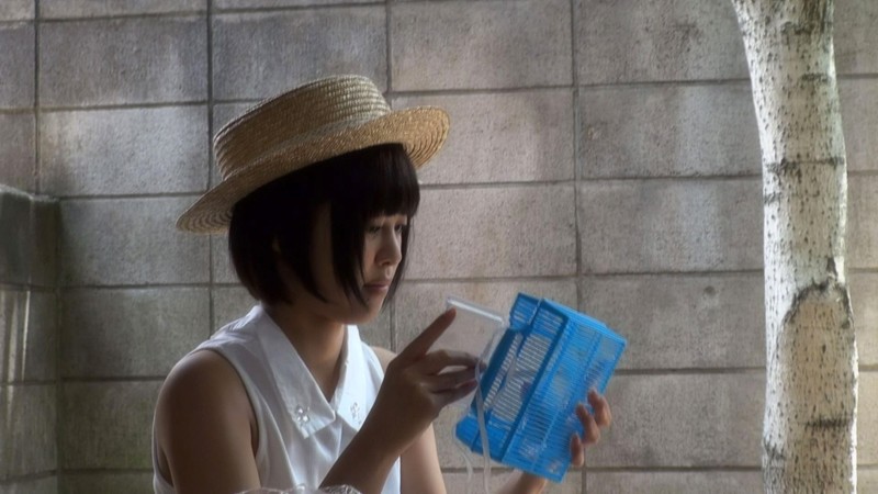 いとこ成長日誌 褐色の美少女と親戚のオジさんと夏休みの想ひ出