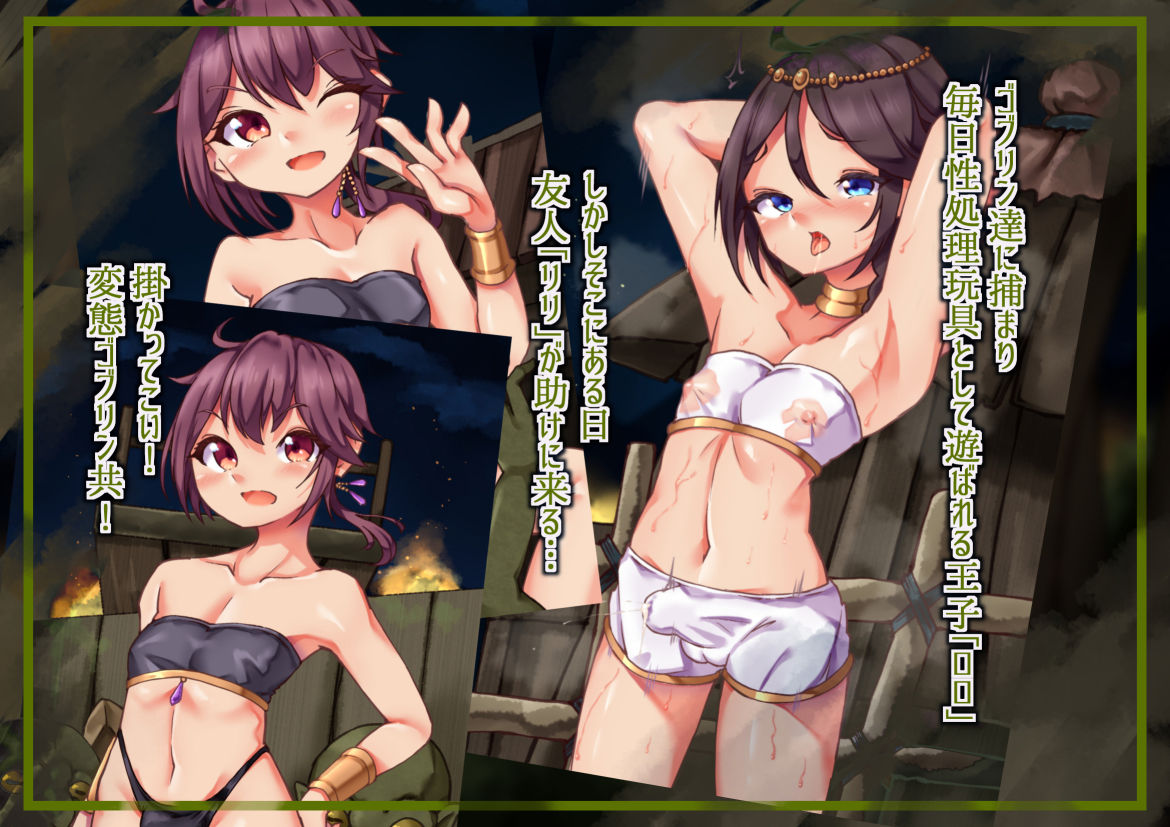ゴブリン達の宴2〜褐色ショタと宴の続き〜