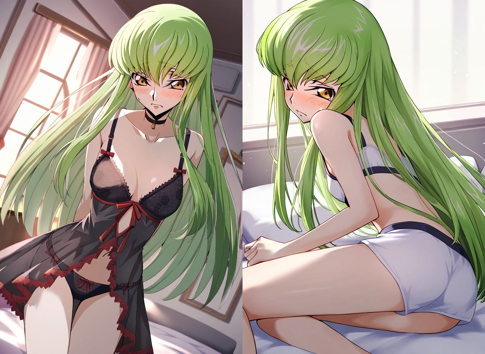 【コード●アス】C.●.＆つるぺたC.●.のエロ画集