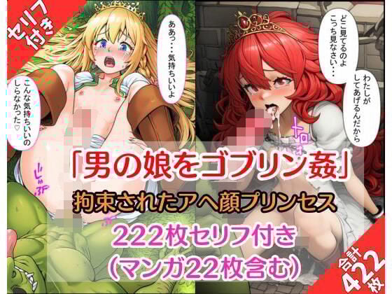 【ゴブリン姦】『プリンセスは男の娘』アヘ顔に拘束中出し！（セリフ付き画像200枚＋マンガ22枚）