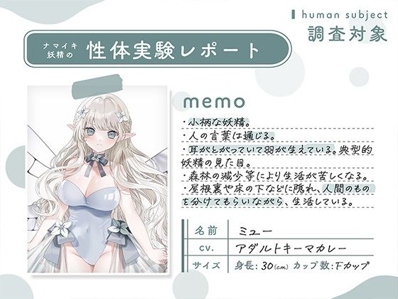 ナマイキ妖精の性体実験レポート