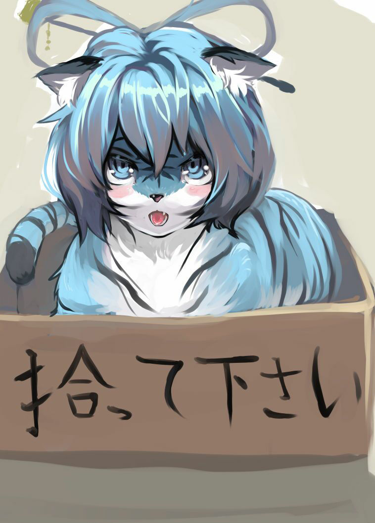 お前がペットになるんだよ!!