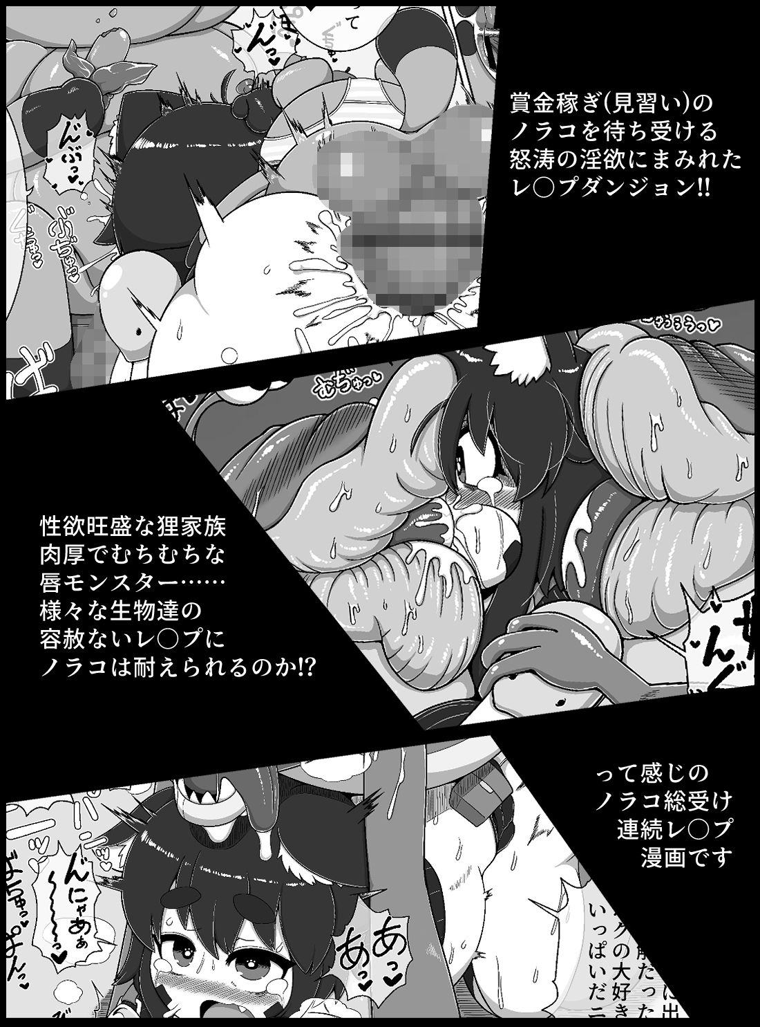 ノラコクエスト