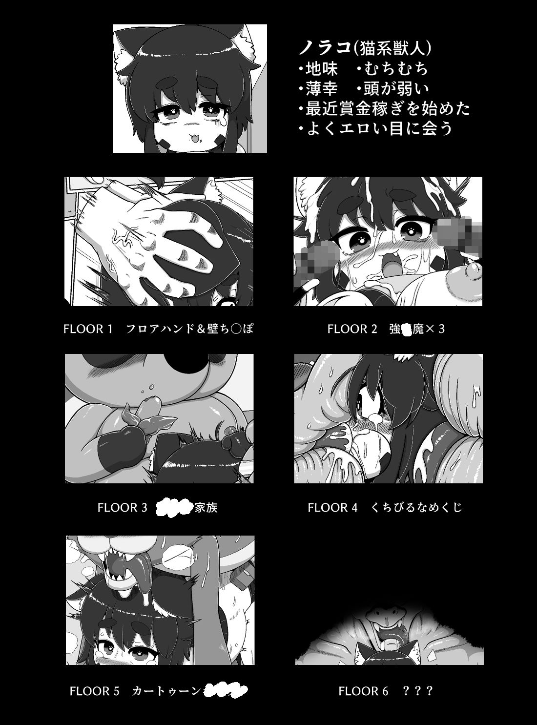 ノラコクエスト