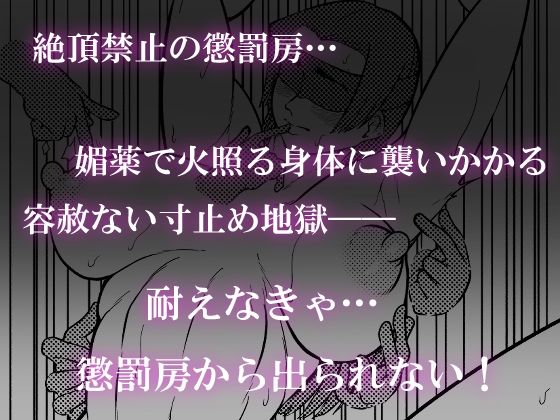被虐の檻 2