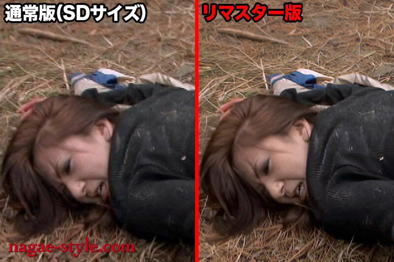 【AIリマスター版】『強い女』を力づくで●す。 女空手家/極道の妻/女性警備員/女拳法家/女殺し屋/女性議員