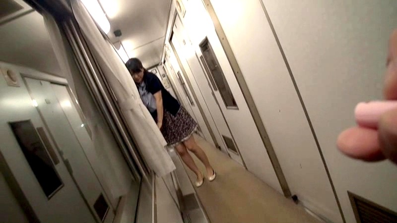 寝台列車の不倫旅 宮崎良美