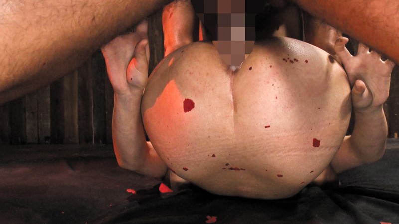 無惨絵 極私的緊縛私刑 染谷あやの