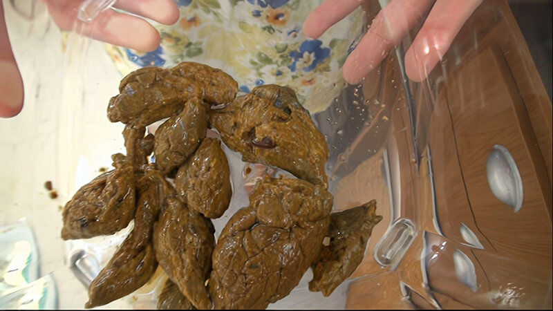 【AIリマスター版】素人ナンパトイレ号がゆく 外伝 TOKYOガールズうんち プレミア VIII ココでしか見られない！S級素人達の初脱糞！！！