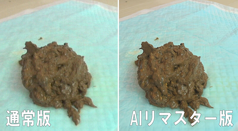 【AIリマスター版】パーフェクトうんち 密着4日間 6脱糞 京野結衣