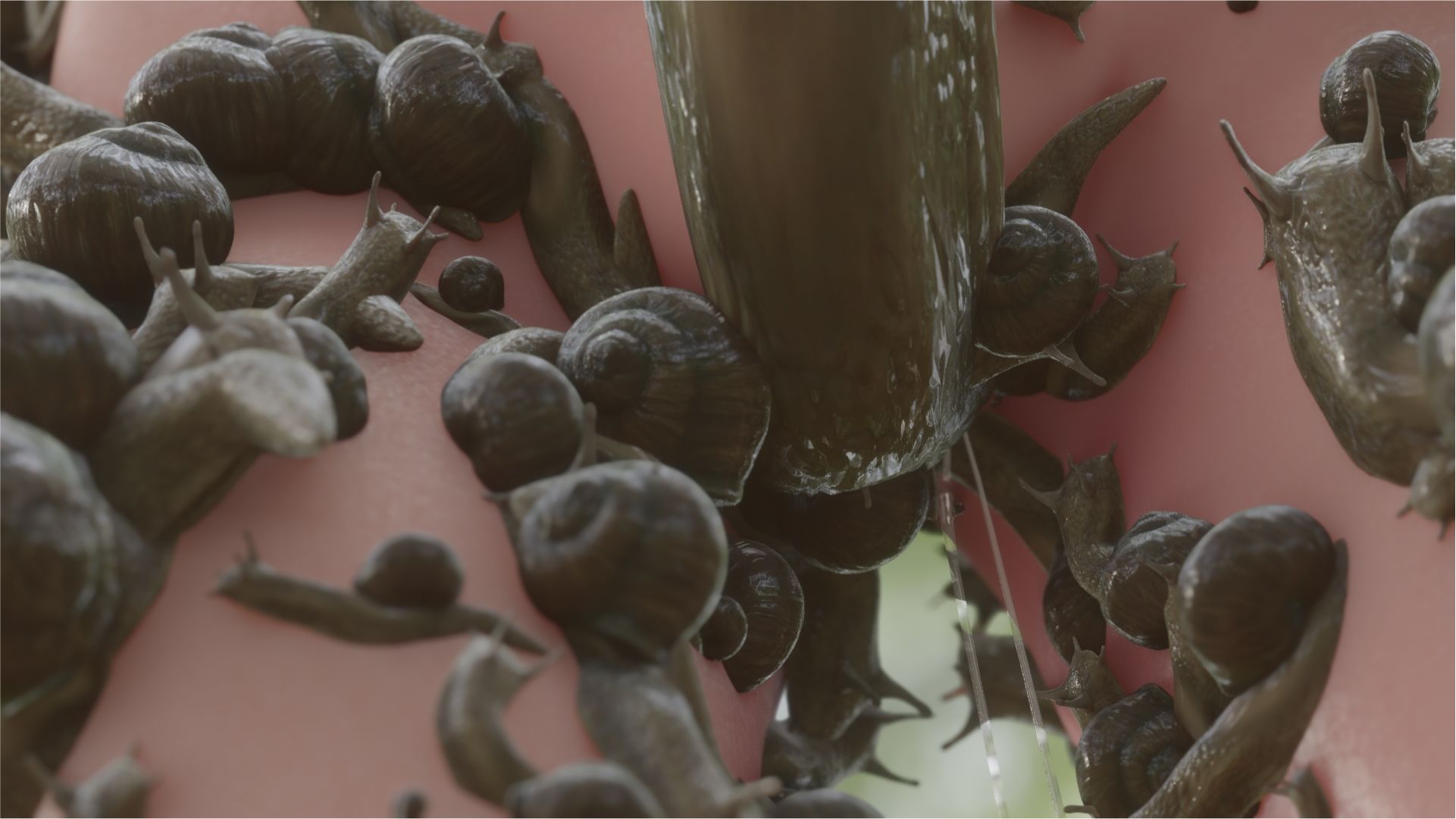 かたつむりとまいまい