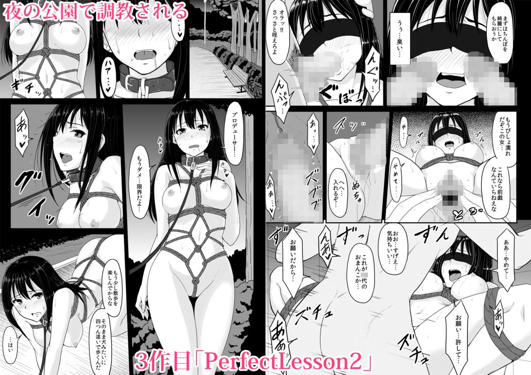 PerfectLesson+ 渋◯凛調教記録集