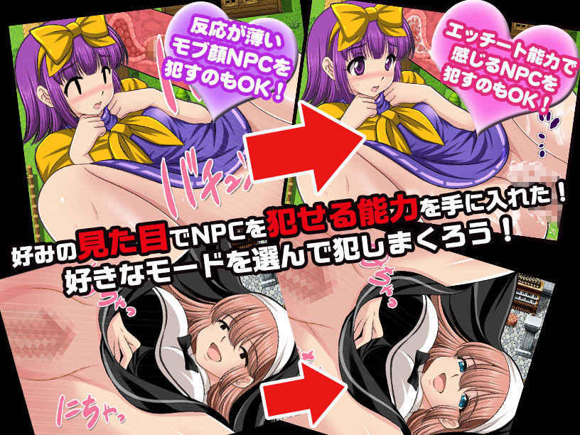 NPC姦〜無抵抗の美少女NPC達をヤリまくれ!〜