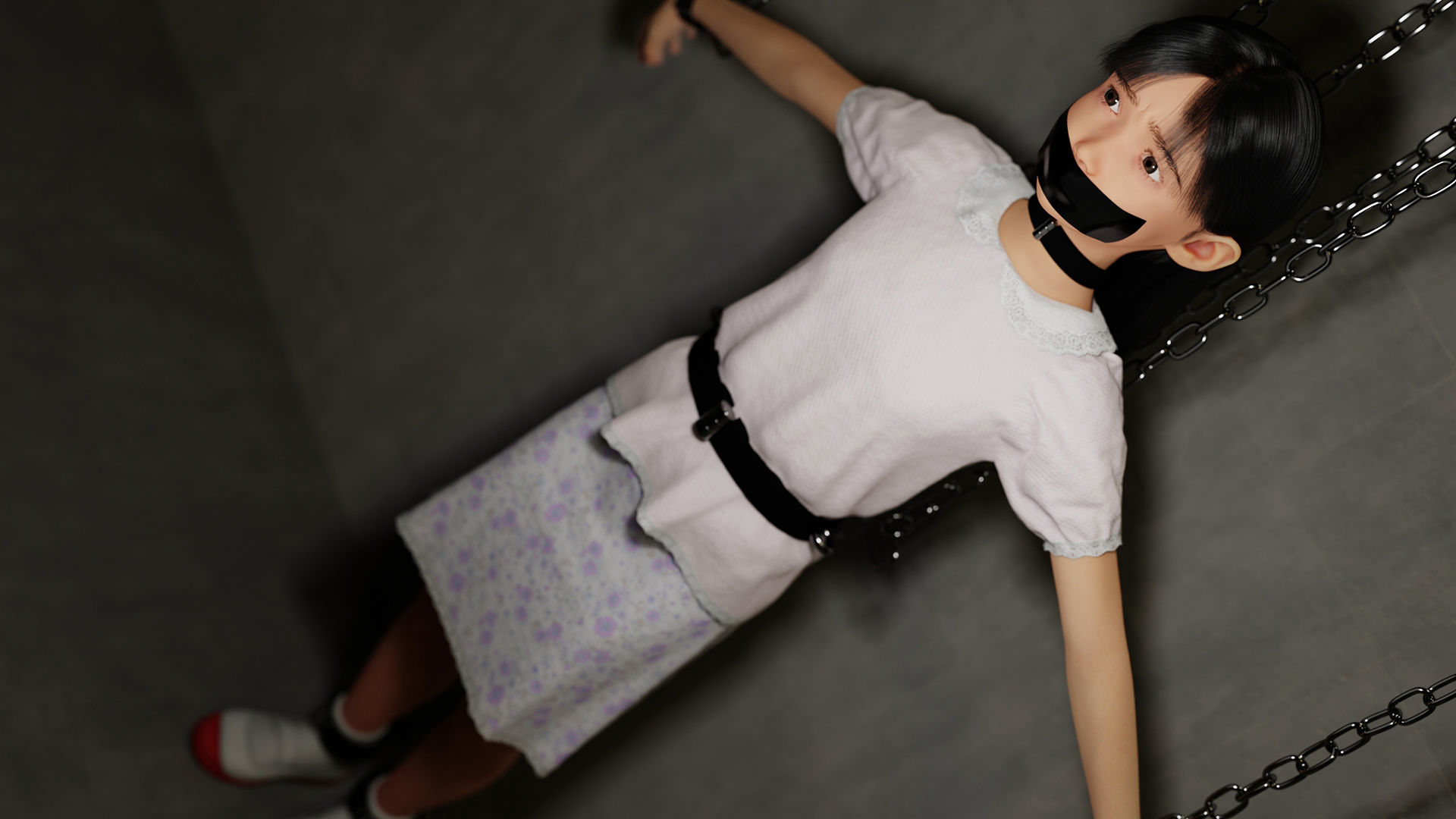 事案 記録写真集