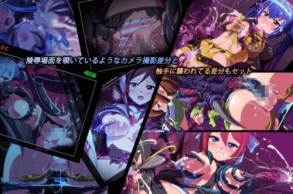 カクワネがみてる vol，48