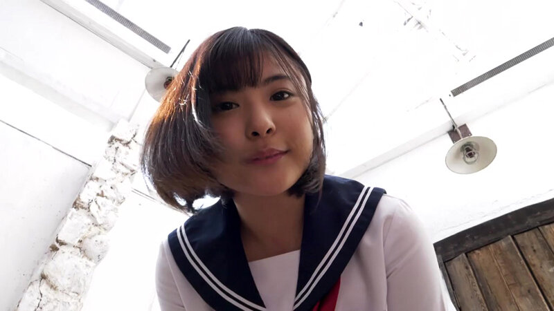 似鳥日菜 / ひな日和