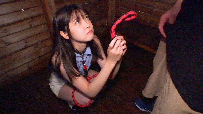 呼べばすぐ来る 俺のオナペット1号ーあかりちゃん21歳ー 皆瀬あかり