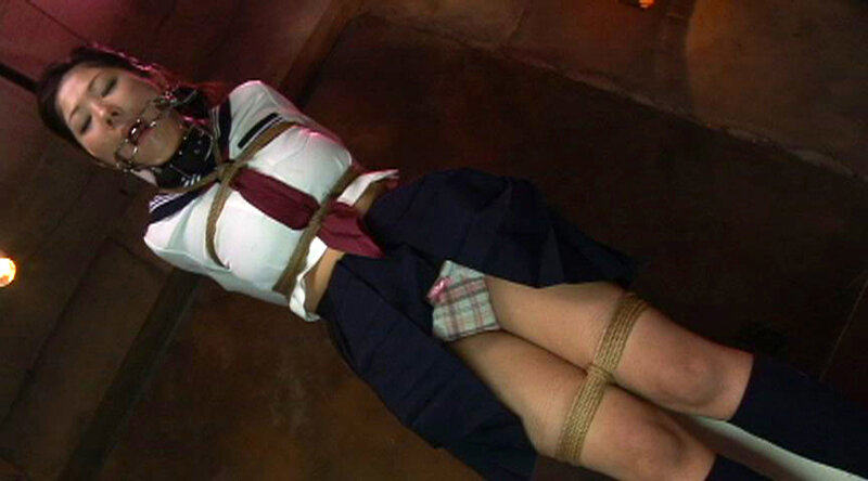 緊縛調教懺悔録 制服美女の後悔日誌