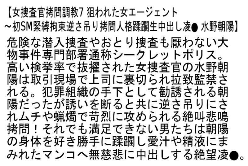 【お得セット】捜査官拷問調教2・女捜査官拷問調教5・女捜査官拷問調教7