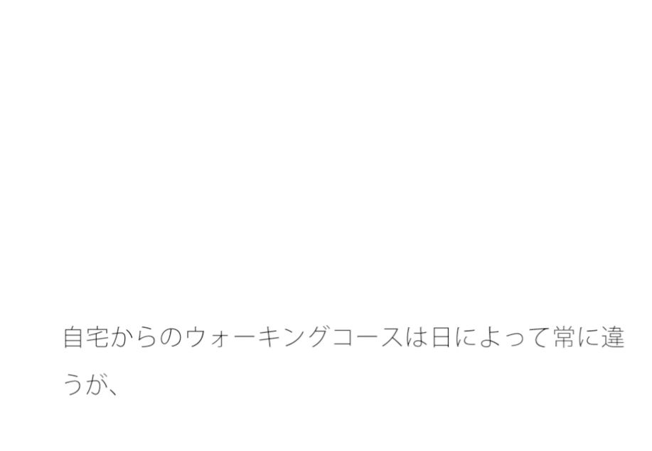 【無料】秋前の交差点 少しファミレス側に入ったところ