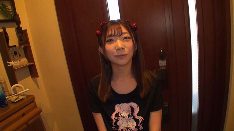 素人ちびはめフレンズ！ 先生とTRYせっくすドキュメンッ