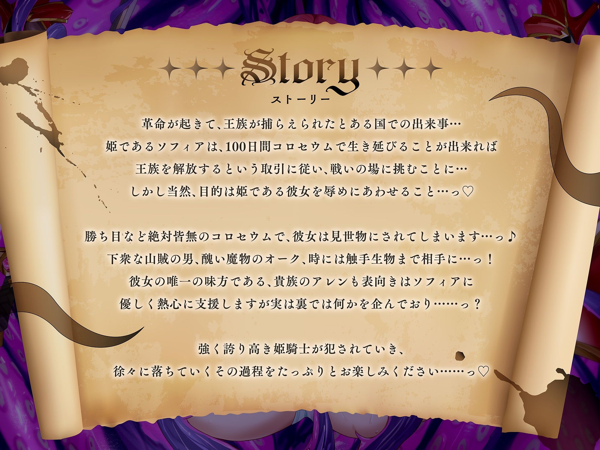 爆乳姫騎士ソフィアの受難-亡国の姫がコロセウムで堕ちるまで-