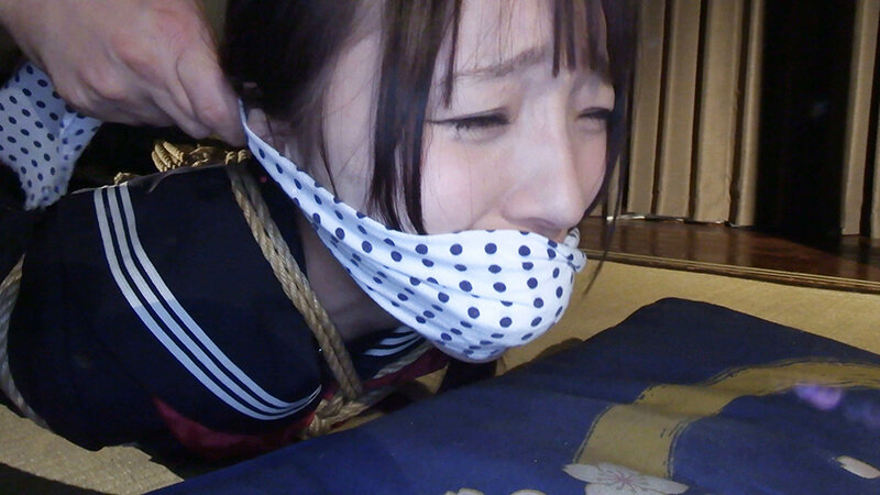 囚われの緊縛令嬢 DIDコレクション2