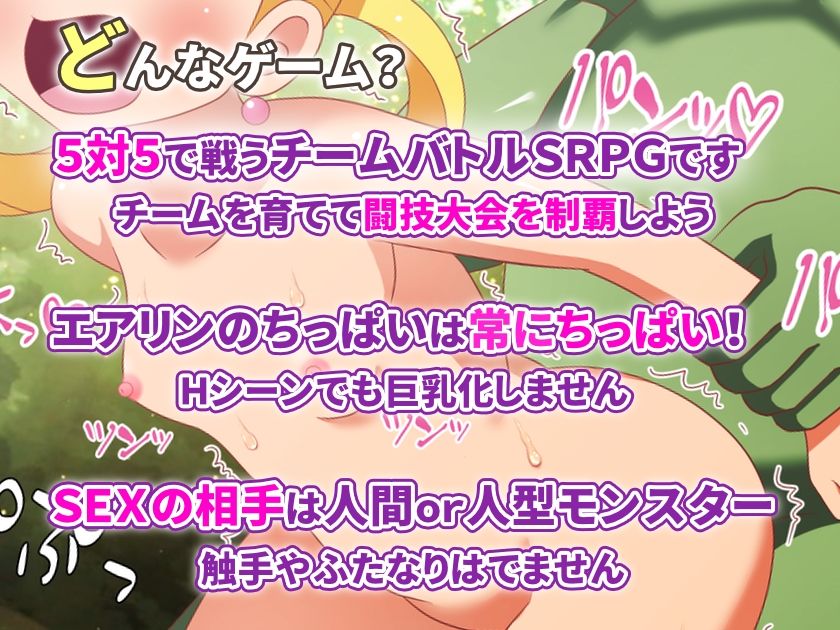 ちっぱいプリースト☆エアリン！！！ 〜なんで私が闘技大会にっ！？〜