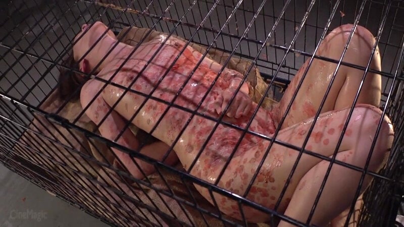 牝檻収監 飼い慣らされた二匹のマゾ犬