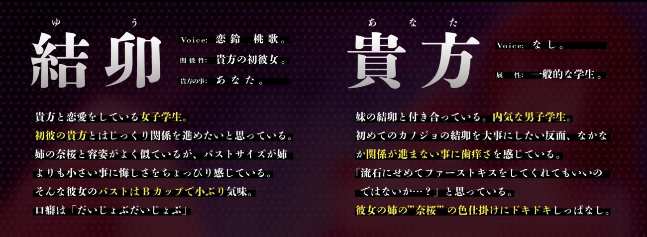 【逆NTR】生ま◯こ誘惑のドスケベ淫語お姉さん。彼女の姉に甘く焦らされ敗北射精するクソマゾな僕。【120分】