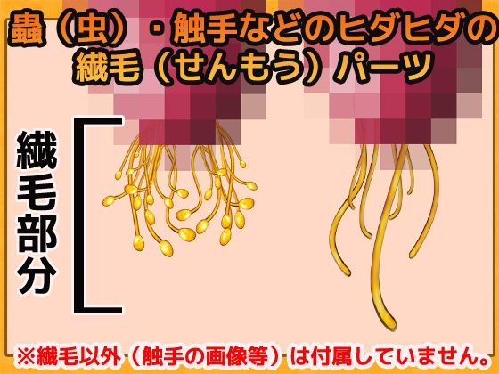 蟲・触手などの繊毛(ヒダヒダ) 画像素材〜商用OK著作権フリー