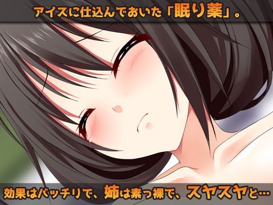 【Android版】睡眠姦〜お姉ちゃんに「眠り薬」でエッチな事をする弟(ボク)〜オナニー用ミニゲーム