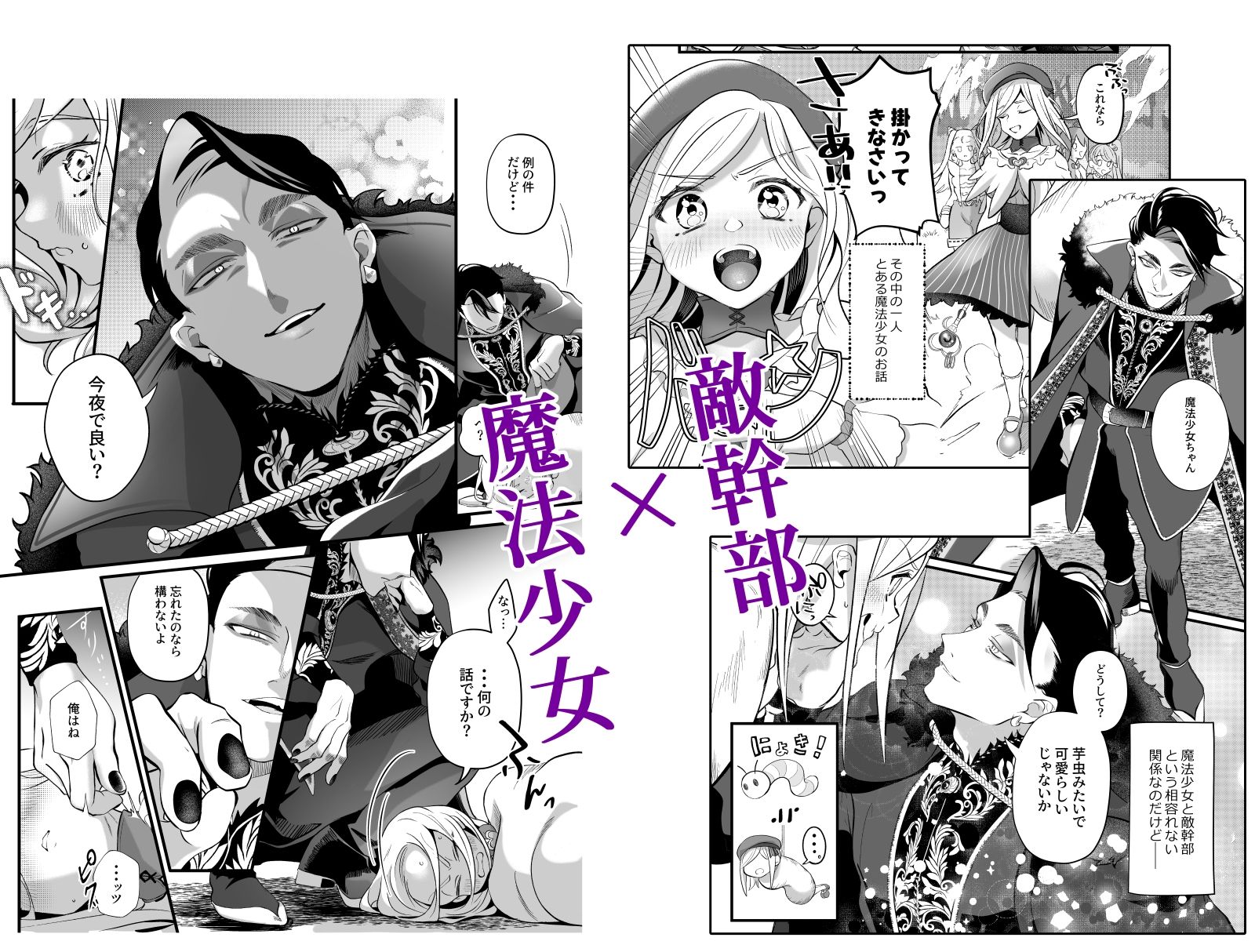 さよなら魔法少女2〜敵幹部と私の極秘密会バトル〜