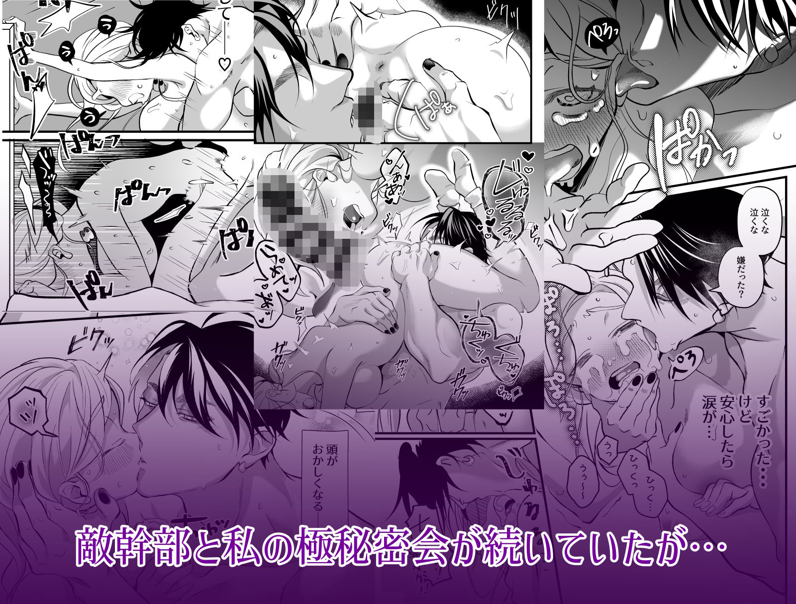 さよなら魔法少女2〜敵幹部と私の極秘密会バトル〜