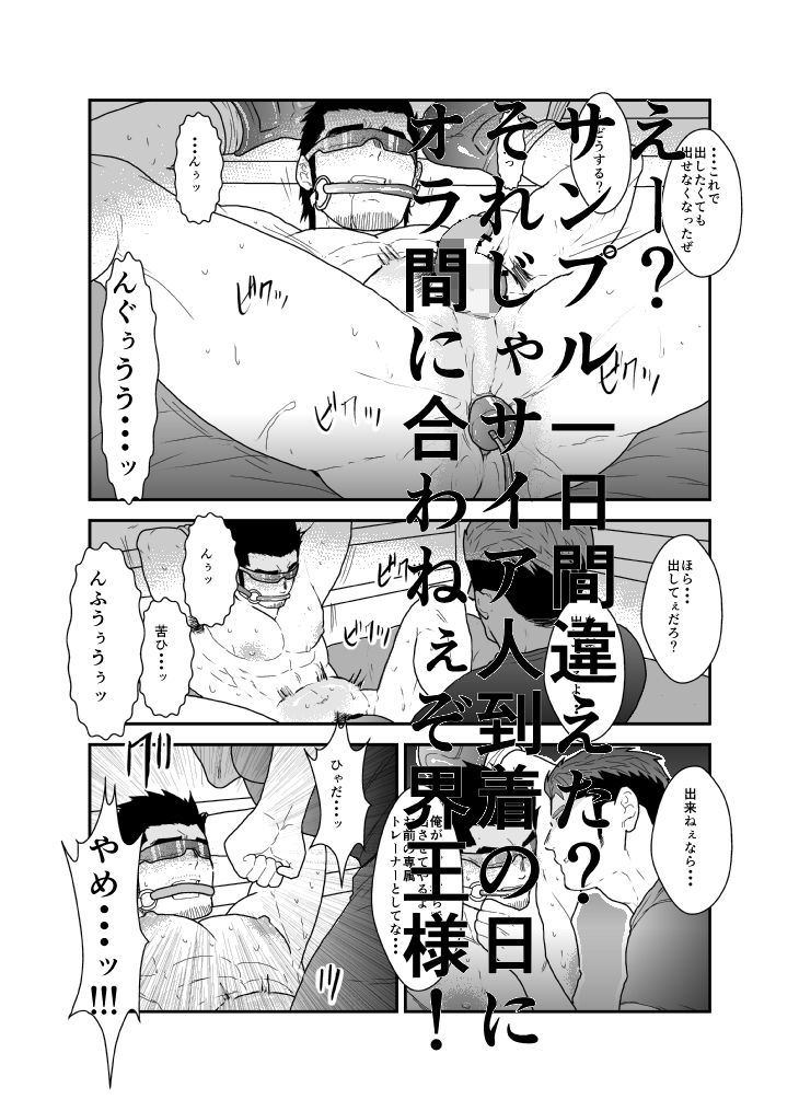 雄調教