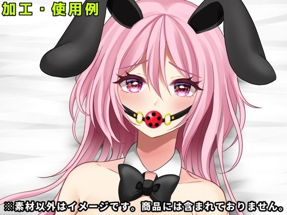 ボールギャグ素材集