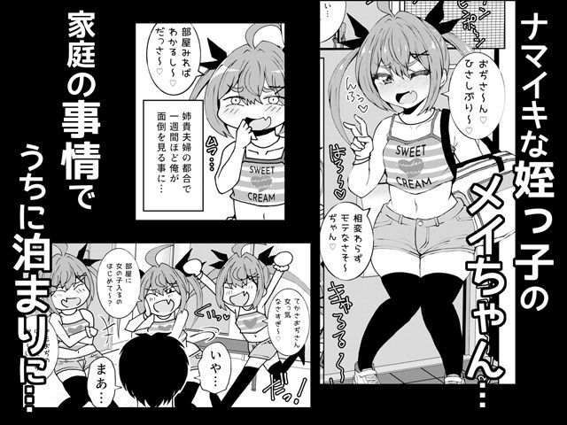 姪っ子メイちゃんメス○キちゃん。