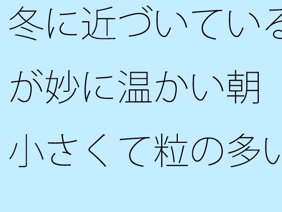 冬に近づいているが妙に温かい朝 小さくて粒の多い雨が降ってきた