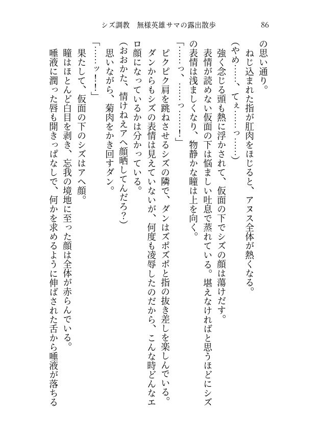 シズ＆ヒナタ凌●記 チャラ男に堕とされた英雄と騎士団長