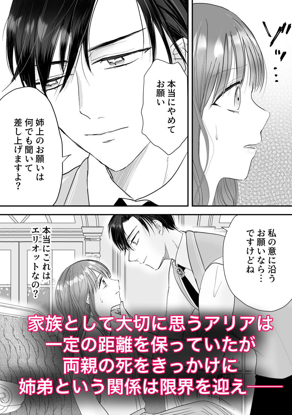 公爵家姉弟の背徳