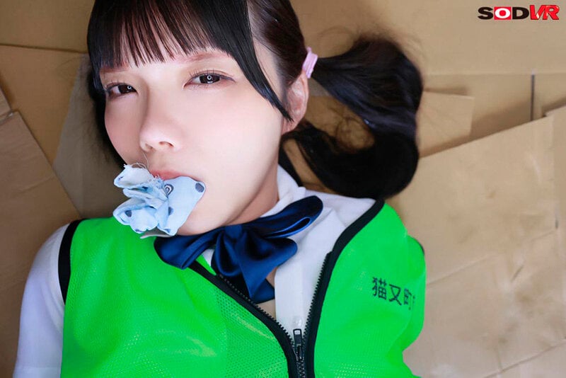 【VR】【8K】【高画質 追跡視点】休日に地域のゴミ拾いに参加する心が綺麗な少女を捕獲して淫行