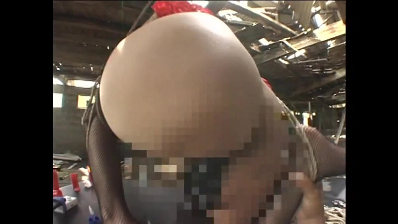 超淫乱美乳愛奴 安寿レイナ